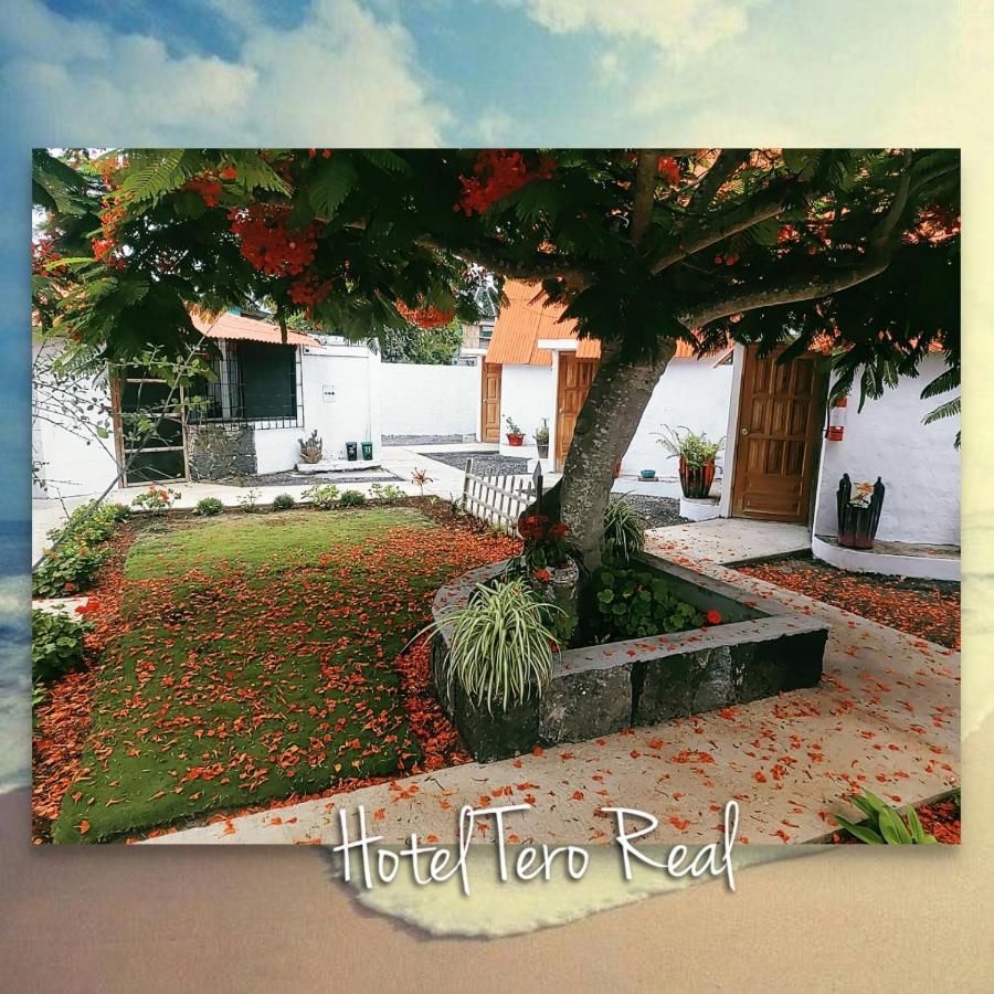 Hostal Tero Real Пуерто-Вільяміль Екстер'єр фото